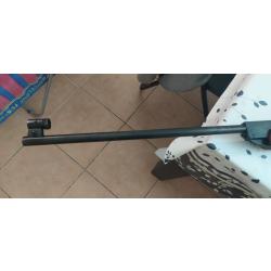 carabine diana 350 magnum