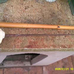 VIELLE BELLE ELEGANTE  CANNE &eacute;p&eacute;e