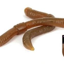 DENDROBAENA 6CM NATURAL PAR 15