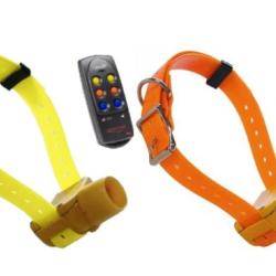 Canibeep ensemble Radio Pro avec 2 colliers