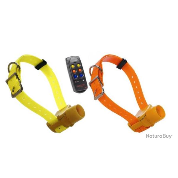 Canibeep ensemble Radio Pro avec 2 colliers