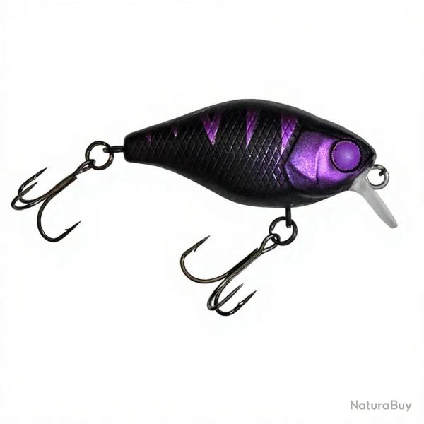 Poisson nageur ILLEX Chubby 38 Midnight shadow