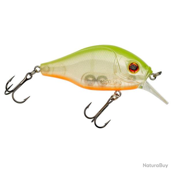 Poisson nageur GUNKI Dogora 65 F Chart back