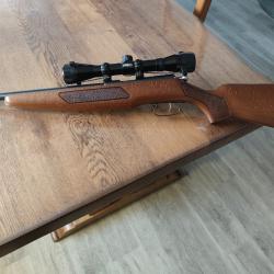 Carabine 22 LR + lunette