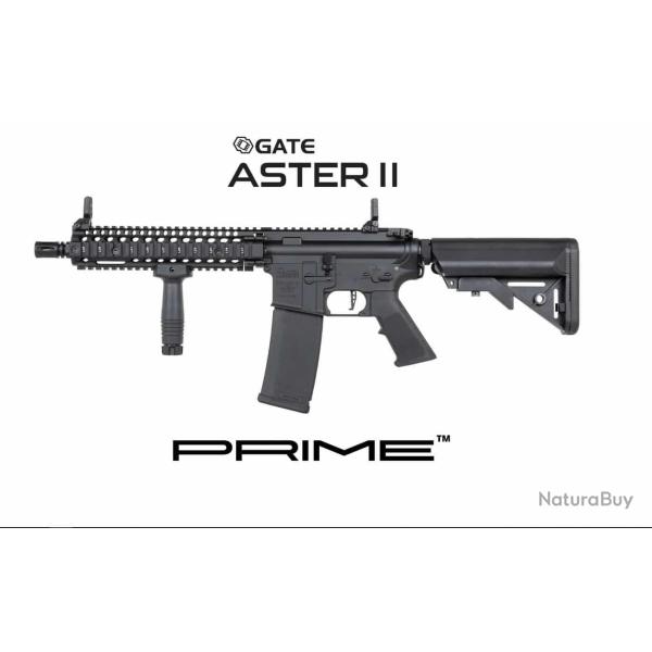 REPLIQUE LONGUE 6MM SA-P19 DANIEL DEFENSE ASTER II NOIRE