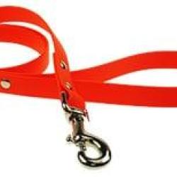 LAISSE BIOTHANE BETA 1,20MLX19MM ORANGE