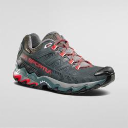 Ultra Raptor II Cuir Femme GTX Charbon Sucette