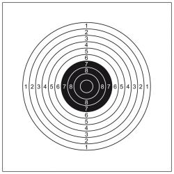 Cibles cartonn&eacute;es 14 x 14 cm