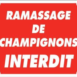 Panneau ramassage de champignons interdit - 25X30 cm