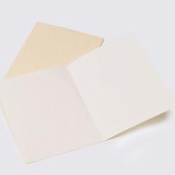 Kit d'hygi&egrave;ne TT Casque