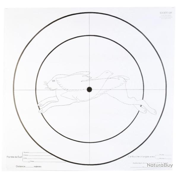 Lot de 100 Cibles d'essai Fusil 90x90