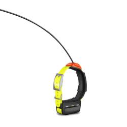 Collier de suivi Garmin t� 5 - version F