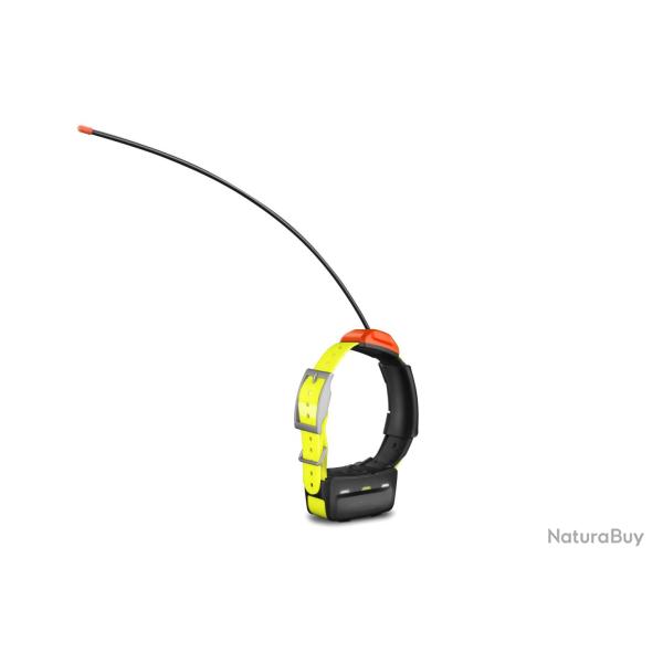 Collier de suivi Garmin t� 5 - version F