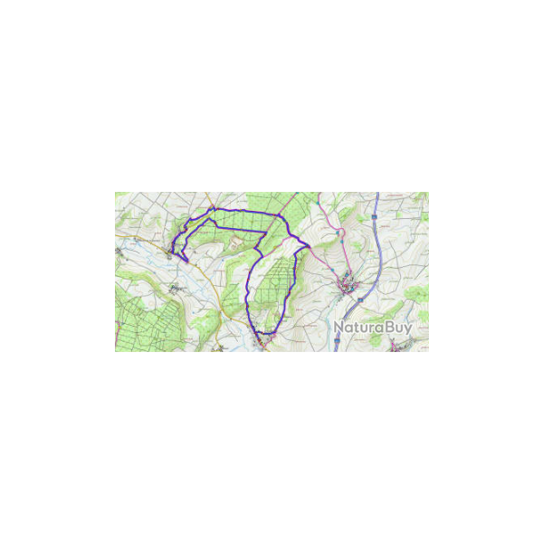 Carte Garmin TOPO France V6 PRO - Montagne