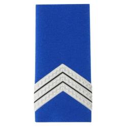 Fourreaux plastifies Grade gardien principal