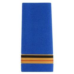 Fourreaux plastifies Grade brigadier chef principal