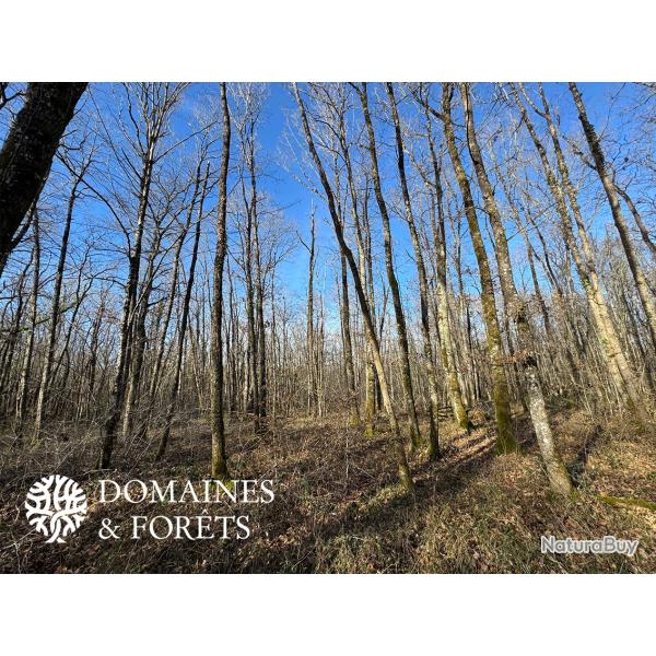 For�t dans Indre (36) d'environ 23 hectares DF-1155-A