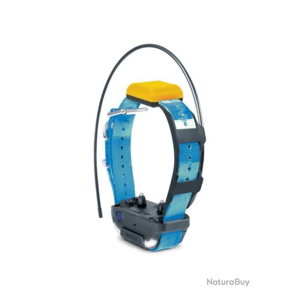Collier dogtra gps pathfinder 2 -collier bleu suppl�mentaire