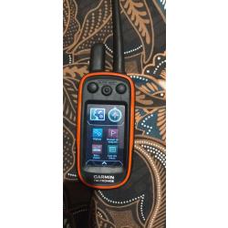 Centrale Alpha 100 Garmin et collier tt15mini