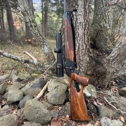 Blaser r8 success bois