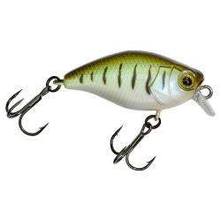 Poisson nageur ILLEX Micro chubby 30 Vairon