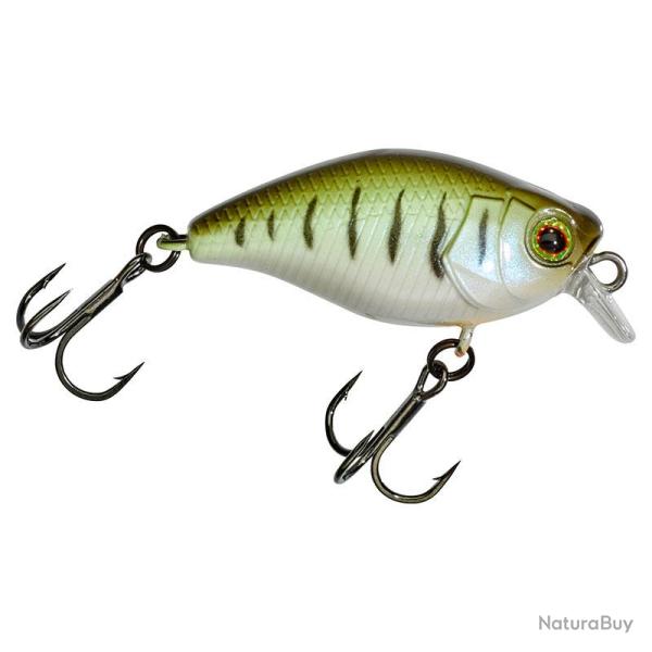 Poisson nageur ILLEX Micro chubby 30 Vairon