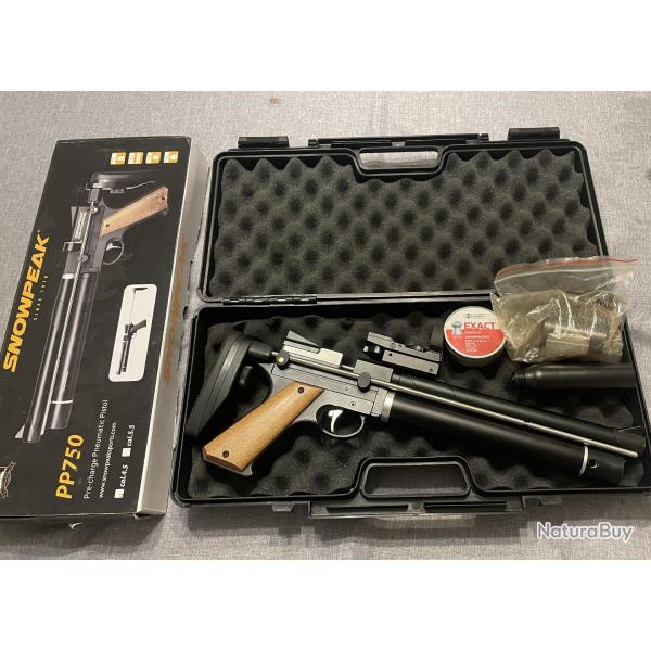 Pistolet PCP SNOWPEAK PP750 calibre 4.5mm avec silencieux et point rouge