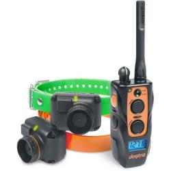 Collier dogtra 2602 T&B