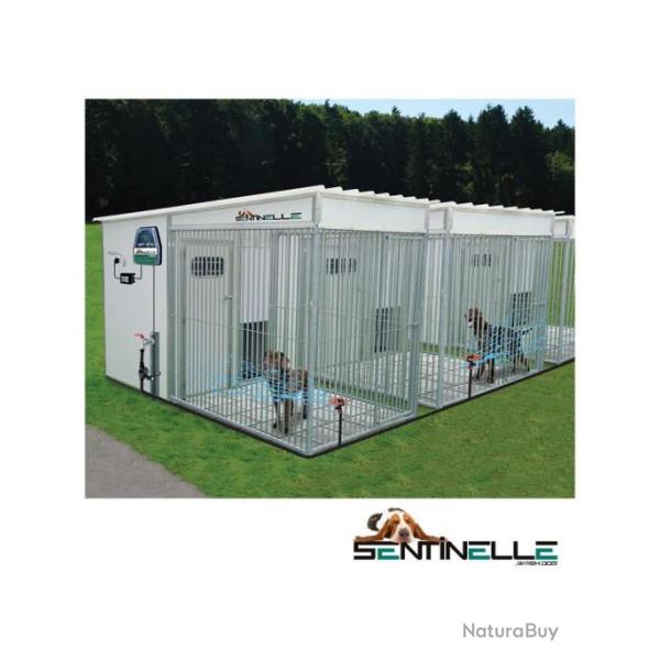 Syst�me Sentinelle - Anti-aboiement par jet d'eau avec transformateur