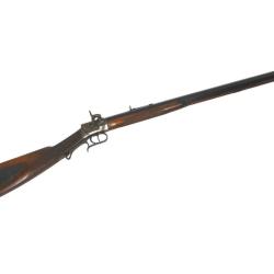 FUSIL PALMETTO ARMORY WESSON - CALIBRE 45 PN - CATEGORIE D