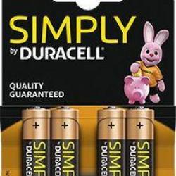Piles alcalines AA LR6 1,5 volt - Duracell