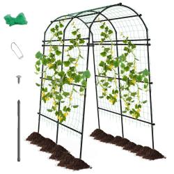 Arche de jardin pour plantes grimpantes 181 x 110-160 x 230 cm r&eacute;sistance au vent assemblage facile