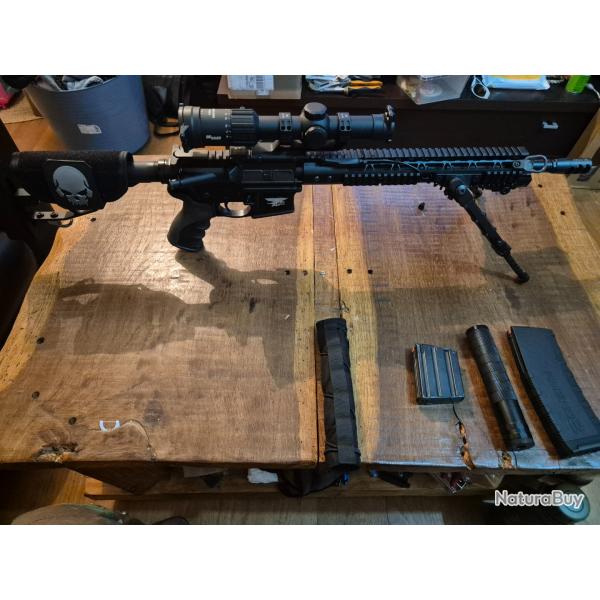 Carabine, fusils mp15 Smith et wesson, Type ar15