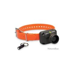 Collier dogtra stb beeper
