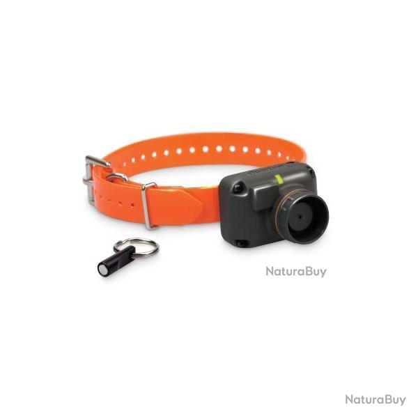 Collier dogtra stb beeper