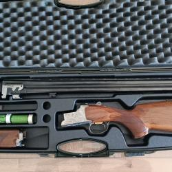 Browning sp&eacute;cial GTS