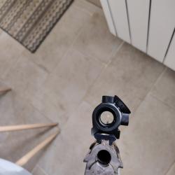 Carabine Express Antonio Zoli9,3 74RAvec point rouge