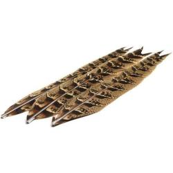 QUEUE DE POULE FAISANE - DEVAUX