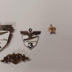 Insignes militaire chasseur alpin Italien  2 ww