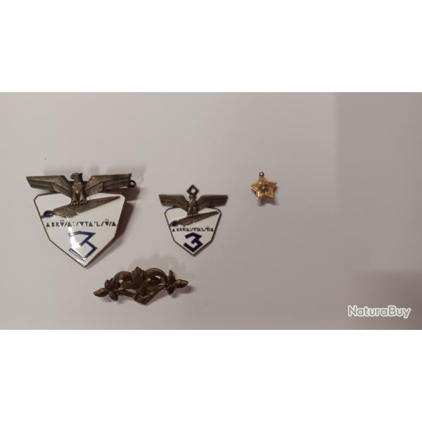 Insignes militaire chasseur alpin Italien  2 ww