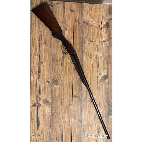 robust 234 �tat collection