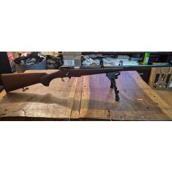 Carabine LUGER 22 magnum.