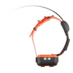 NOUVELLE GENERATION Collier CANICOM GPS 2 NUM'AXES