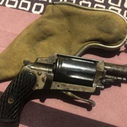 TR&Egrave;S BEAU VELODOG CAL 6MM VELODOG