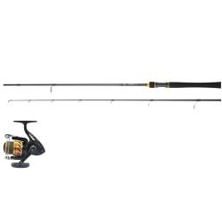 Combo Spinning Daiwa + Tresse Carnassiers Leurres L&eacute;gers