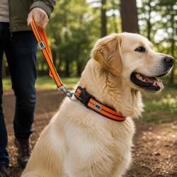 Collier r&eacute;fl&eacute;chissant orange n&eacute;opr&egrave;ne nylon pour chien 45/60 cm