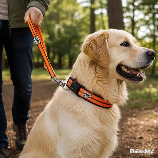 Collier r�fl�chissant orange n�opr�ne nylon pour chien 50/75 cm