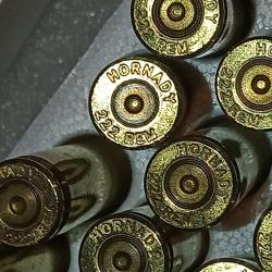 Lot de 400 douilles 222R Hornady tir&eacute;es 1 X
