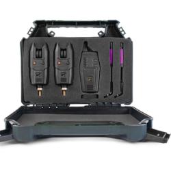 Centrale KORUM avec 2 d&eacute;tecteurs KBI-R alarme