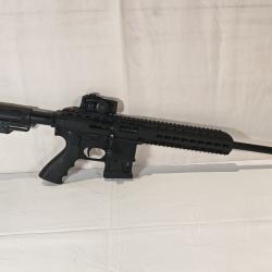 Carabine Pallas Ba-15 22lr + point rouge et munitions